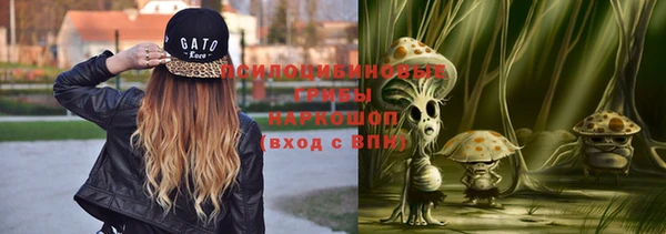 а пвп мука Кукмор