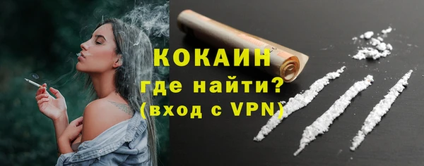 твердый Кулебаки