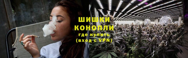 твердый Кулебаки