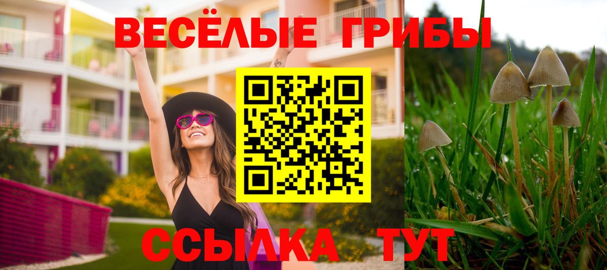 Псилоцибиновые грибы ЛСД Тихорецк
